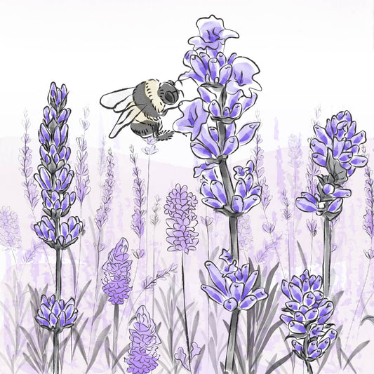 Lavender Sage - The Prescent